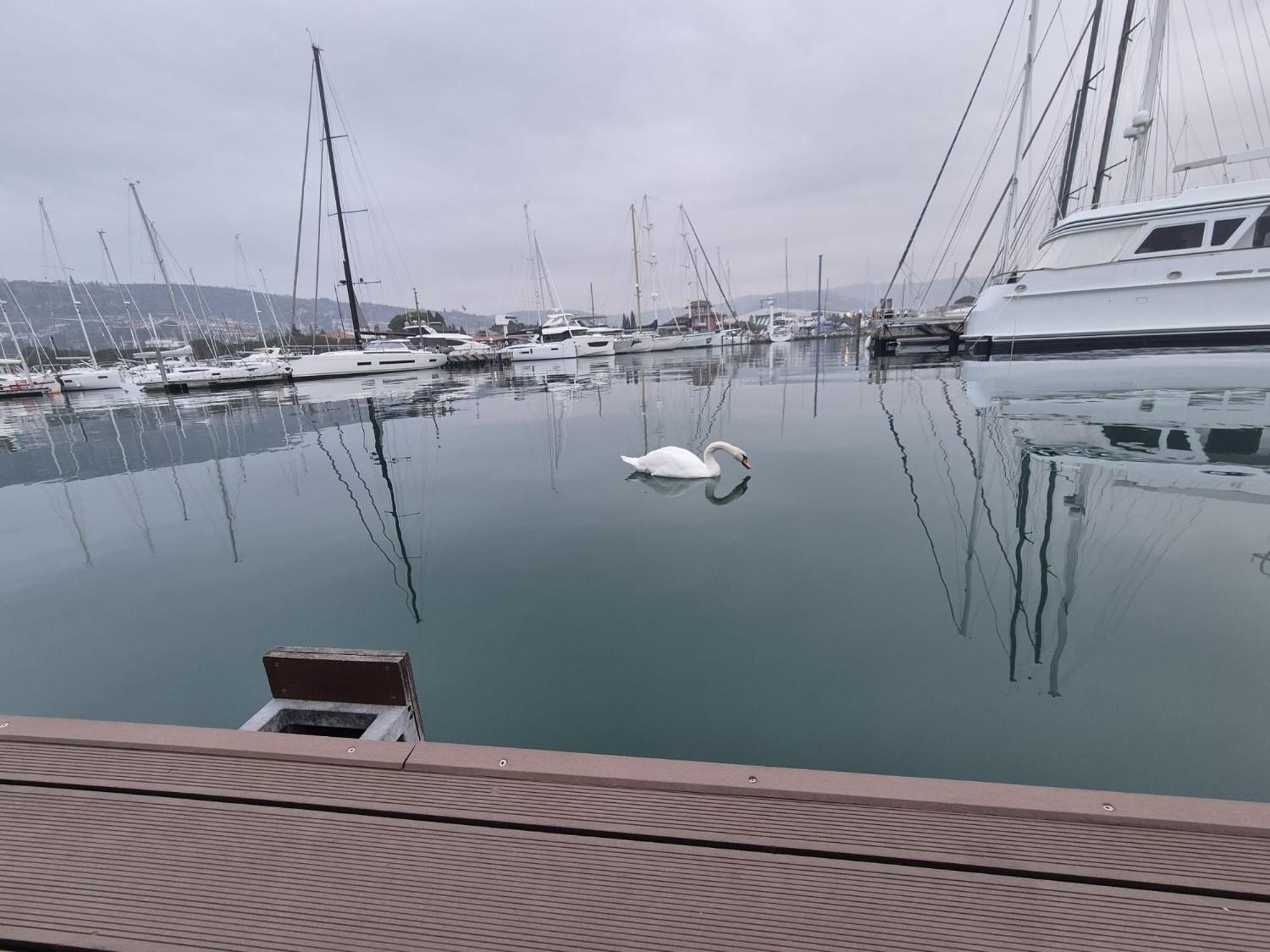 הוילה בפורטורוז Floating Sea House Aurora מראה חיצוני תמונה