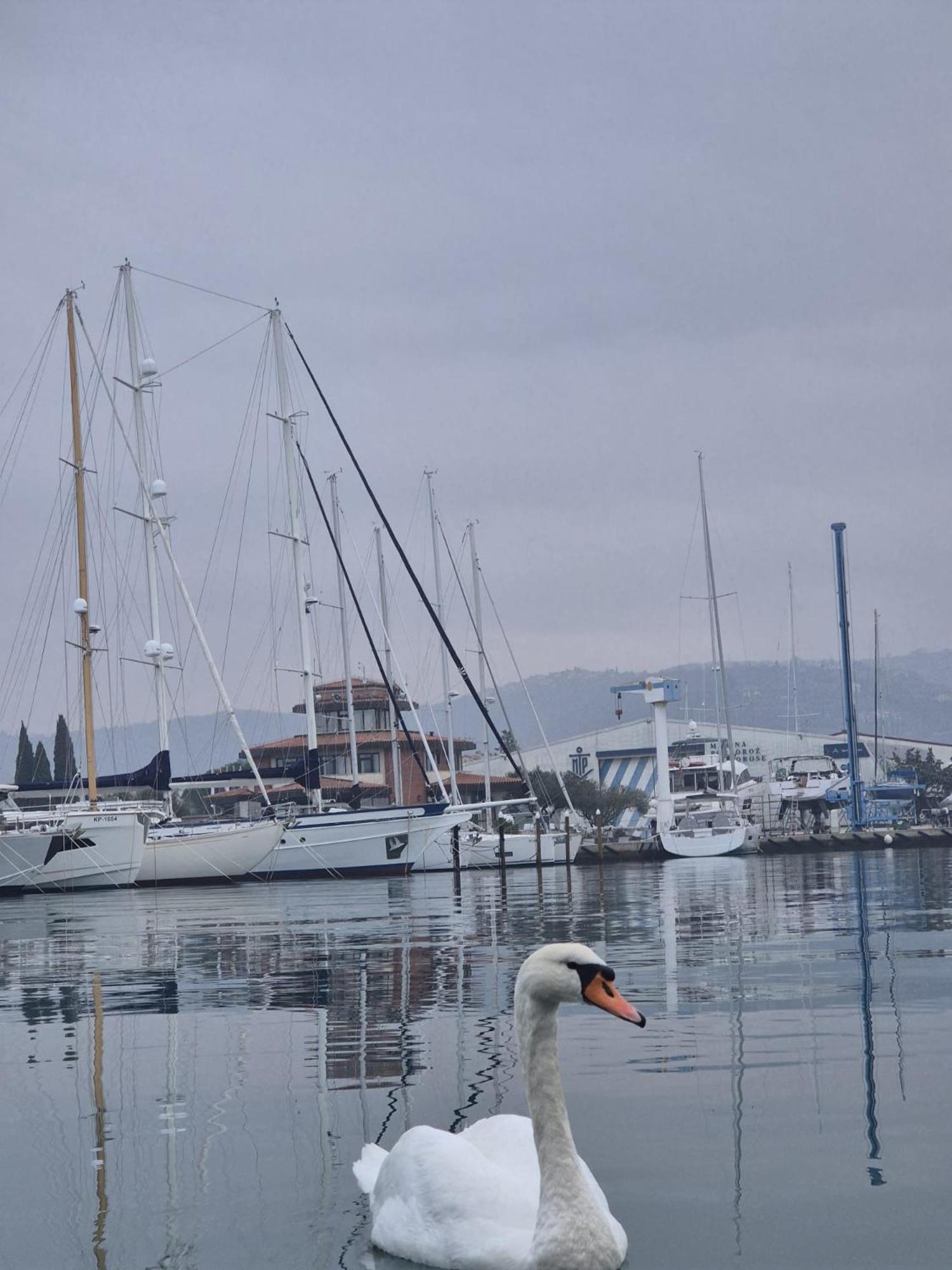 הוילה בפורטורוז Floating Sea House Aurora מראה חיצוני תמונה